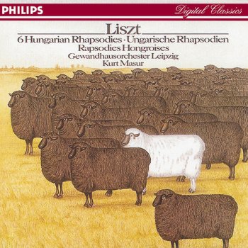 Franz Liszt Hungarian Rhapsody No. 5 in E minor