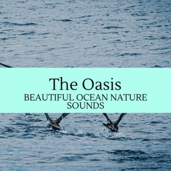 Slow Flow Nature Music White Noise and Rain Sound