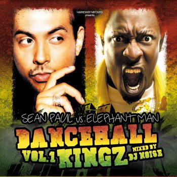 Elephant Man Log On (liquid riddim)