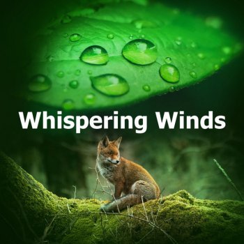 Epic Soundscapes Diverted Peppy