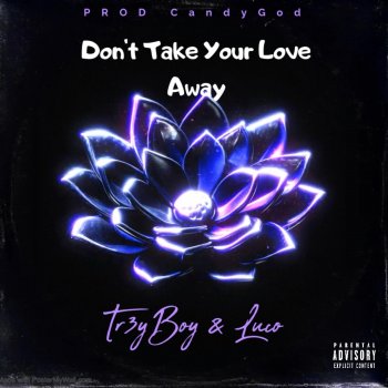 Исполнитель Tr3yBoy, альбом Don't Take Your Love Away