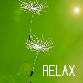 Relax Musicspace (Meditation Music)