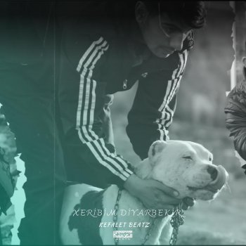 Исполнитель Kefalet Beatz, альбом Xeribim Diyarbekir - Single