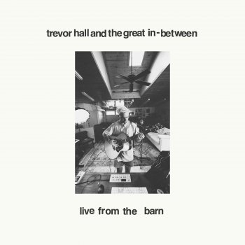 Trevor Hall Having an Experience (live from the barn)