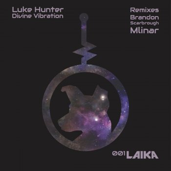 Luke Hunter Divine Vibration (Mlinar Remix)