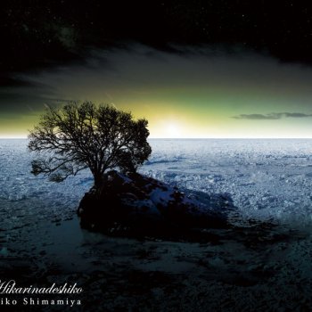 Исполнитель Eiko Shimamiya, альбом ひかりなでしこ