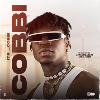 its_Cobbi Cobbi