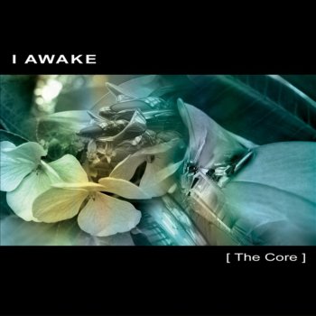 I Awake Constellation of the Heart (Native Edit)