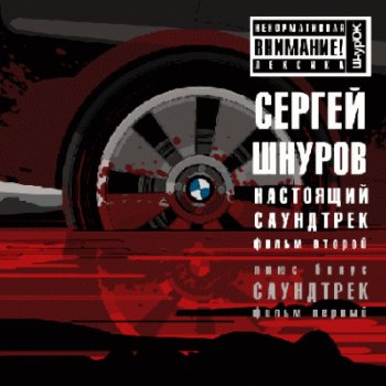 Сергей Шнуров Судьба 2