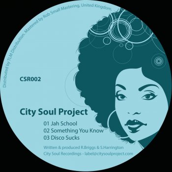 City Soul Project Disco Sucks