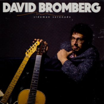 David Bromberg Sideman's Samba