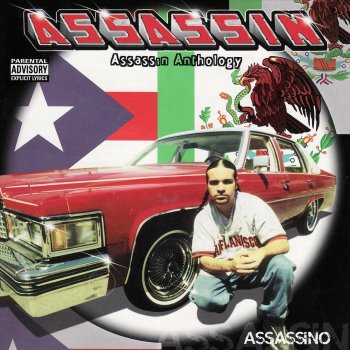 Assassin You Gotta Believe