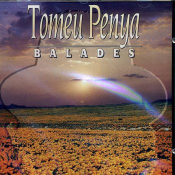 Tomeu Penya Port verd
