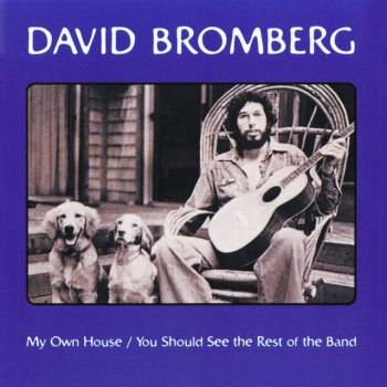 David Bromberg Solid Gone - Live