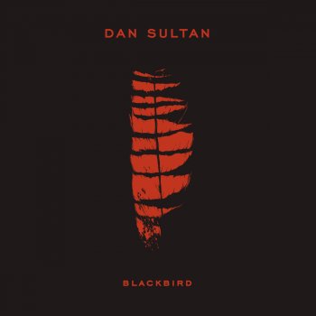 Dan Sultan Can't Blame Me