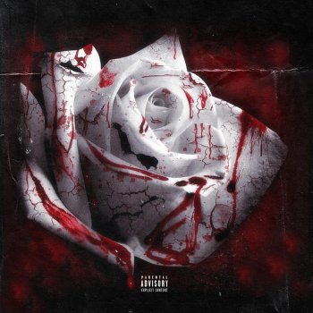 J Mag Dead Roses