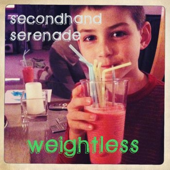 Secondhand Serenade Animal