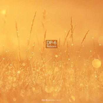 DP-6 Endless Night - Original Mix