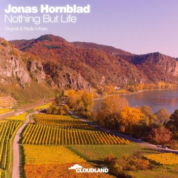 Jonas Hornblad Nothing but Life