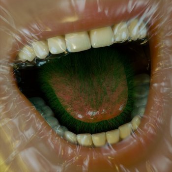 Исполнитель Pola Rise, альбом Bez tchu