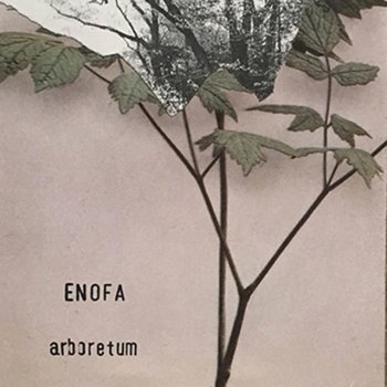 Enofa Arboretum