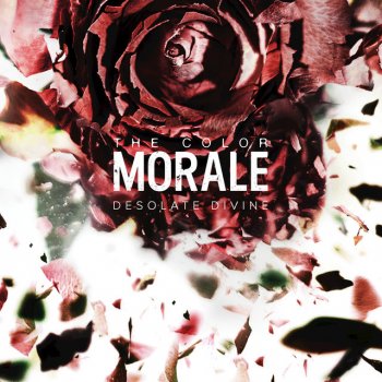 The Color Morale Broken Vessel