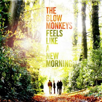 The Blow Monkeys Feels Like a New Morning