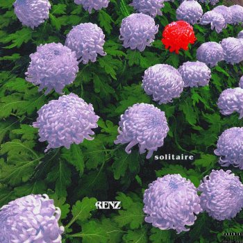 RENZ Solitaire