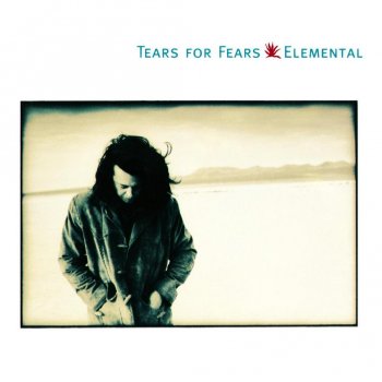 Tears for Fears Break It Down Again