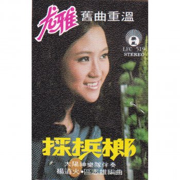 尤雅 大江東去