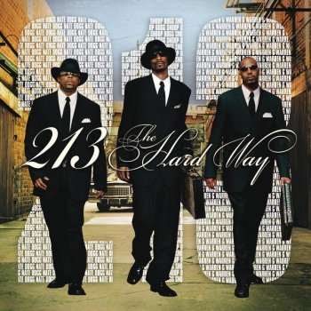 213 I'm Fly