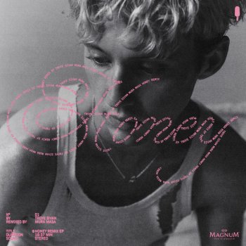 Troye Sivan Honey - Single Version