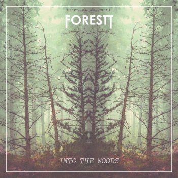 Forest Song for a Seeking Soul