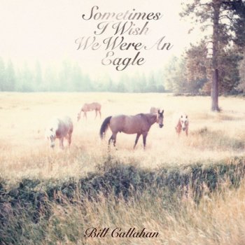 Bill Callahan Too Many Birds