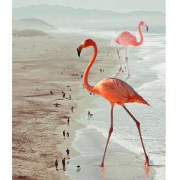 Исполнитель Monmarte, альбом Puedes Volar?