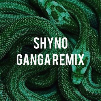 Shyno Ganga