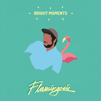 Flamingosis Next to You