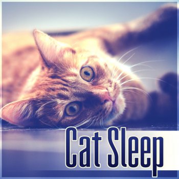 Pet Music Academy Sleepy Kitty