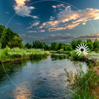 The Nature Soundscapes River Stream Ambience