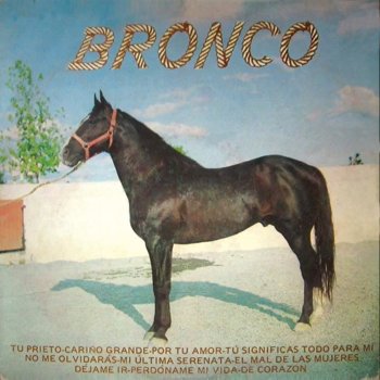 Bronco Tu Prieto