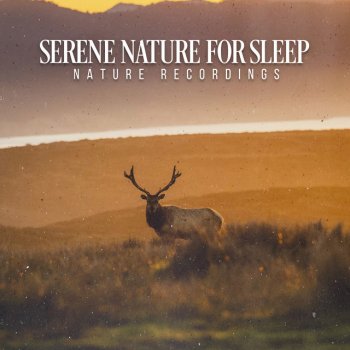 Nature Recordings The To