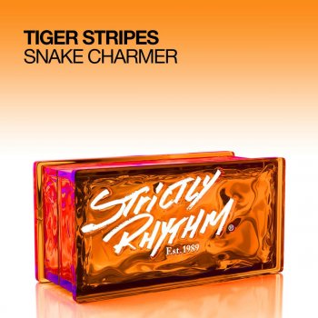 Tiger Stripes Snake Charmer (Original)