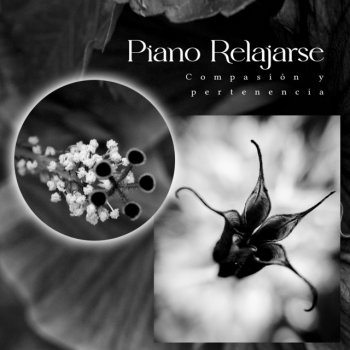 Piano Relajarse Rolling Romance