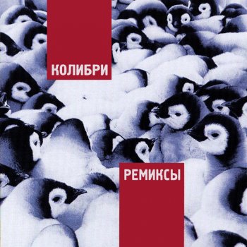 Колибри Американская жена