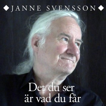 Janne Svensson Det du ser (är vad du får)