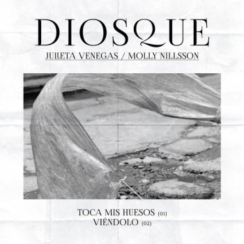 Diosque feat. Molly Nilsson Viéndolo