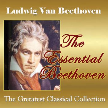 Ludwig van Beethoven;Yehudi Menuhin,Jeremy Menuhin Violin Sonata No. 5 in F Major, Op. 24 "Spring": I. Allegro