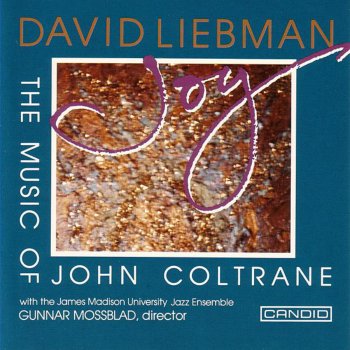 Dave Liebman India