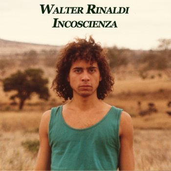 Walter Rinaldi Il dialogo del lago e della nebbia