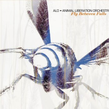 ALO feat. Jack Johnson Girl, I Wanna Lay You Down